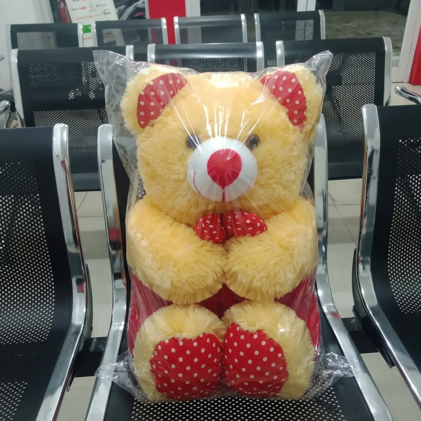 Bukti pengerjaan spa boneka bersih wangi Menganti 2